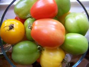 Mmmmmm...homegrown tomatoes rule!